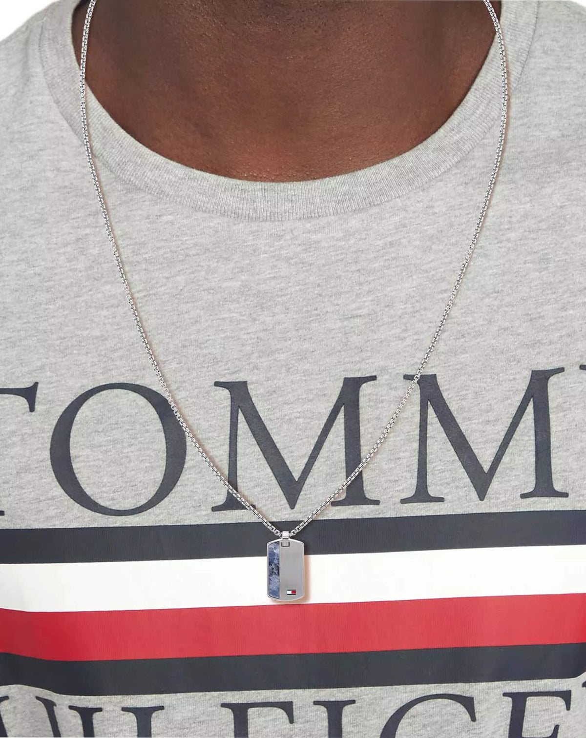 Tommy Hilfiger Erkek Kolye THJ2790437_2