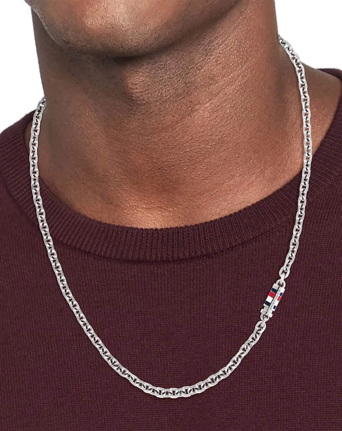 Tommy Hilfiger Erkek Kolye THJ2790650_2