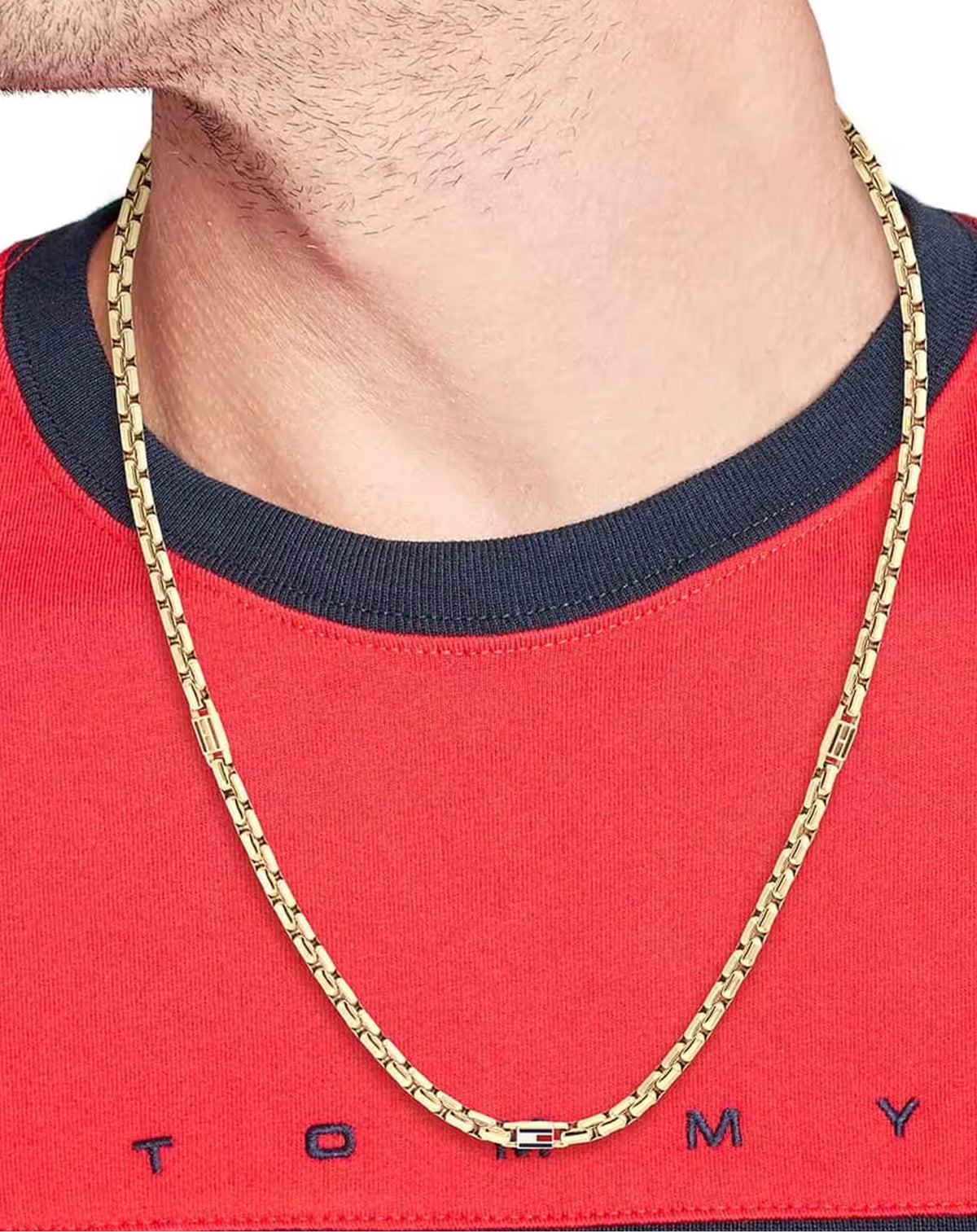 Tommy Hilfiger Erkek Kolye THJ2790673_2